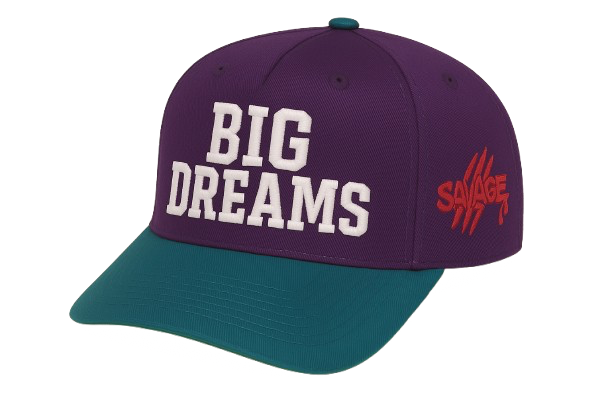 The Cap Gallery – Premium Statement Snapbacks