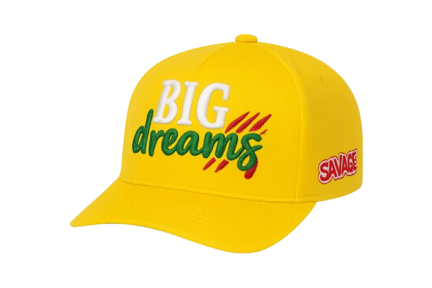 The Cap Gallery – Premium Statement Snapbacks