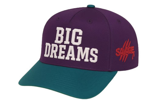 The Cap Gallery – Premium Statement Snapbacks